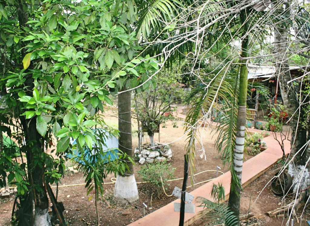 Yaxche Centro Hostal Y Camping บากาลาร์ ภายนอก รูปภาพ